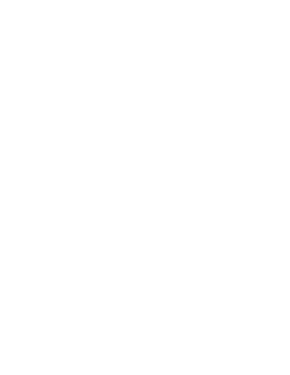 zingaliacoustics-logo